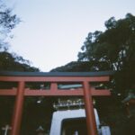 神社の鳥居 府中ガルバ ゆきの写真