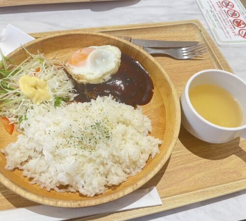 府中ガールズバー レジェンド くるみが食べたハンバーグ