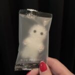 府中ガールズバー レジェンド くるみの雪男のお菓子