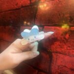 府中ガールズバー レジェンド よるがまいかから貰ったシナモンのヘアクリップ