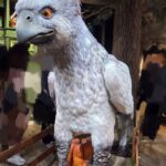 府中ガールズバー レジェンド あおのハリーポッターショップの写真