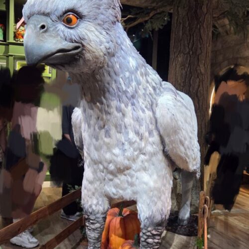 府中ガールズバー レジェンド あおのハリーポッターショップの写真