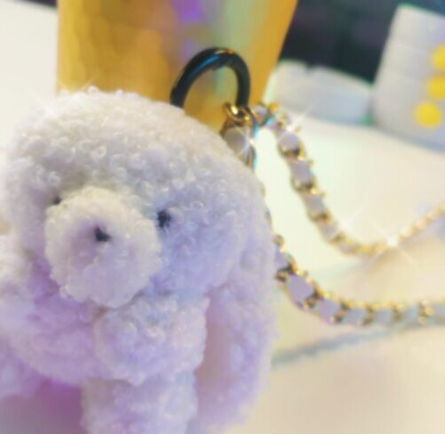 府中ガールズバー レジェンド そらの犬のぬいぐるみ