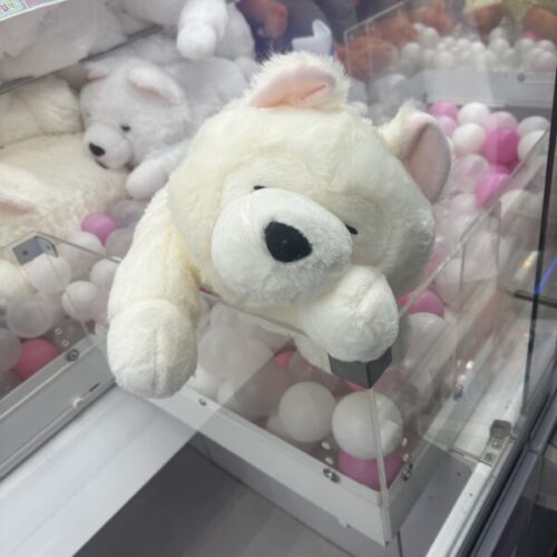 府中ガールズバー レジェンド よるのUFOキャッチャーの写真